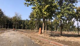 RV Estate Reyansh Green, Dehradun - Residential Plots