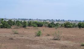 Richer Lands, Gulbarga - Farm Land