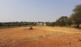 Shraddha Orchard