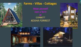 Corbett Kosha Forrest, Nainital - Farm Land