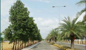 Creative New Vision Township, Chennai - Creative New Vision Township