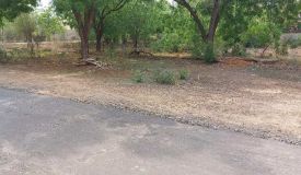 Shubham Farm, Jodhpur - Shubham Farm