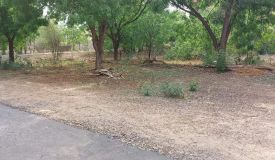 Shubham Farm, Jodhpur - Shubham Farm