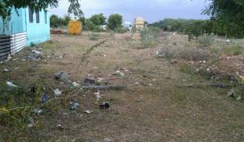 Soundarya Garden