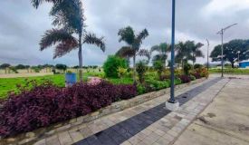 Pearl Leaf, Indore - Pearl Leaf