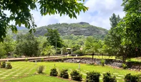The Sun Valley Farm