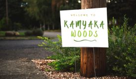 Kamyaka Woods