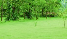 River Farm