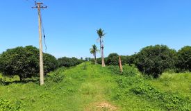 Keerthi Fortune Fruit Farms, Mahbubnagar - Farm House