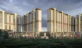 Affinity Belgravia