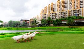 Lakeshore Greens Viento, Thane - Lakeshore Greens Viento