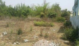 Suncity Heights