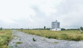 Ecowoods, Bangalore - Ecowoods