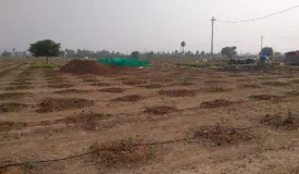 Vasavi Sandal County
