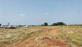 Sadha Garden, Tiruchirappalli - Sadha Garden