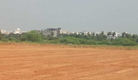 Sadha Garden, Tiruchirappalli - Sadha Garden