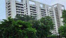 Dlf Phase 2, Gurgaon - Dlf Phase 2