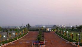 Sportsland Activity Farms, Noida - Sportsland Activity Farms