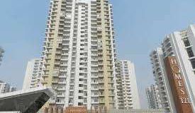 Ajnara Homes, Noida - Ajnara Homes