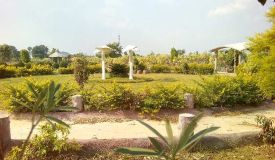 Dream City, Vidisha - Dream City