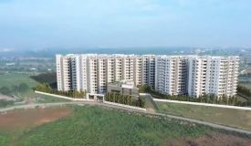 Speed Sanarelli, Hyderabad - 2/3 BHK Apartment