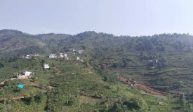 Selas Valley, Nilgiris - Selas Valley