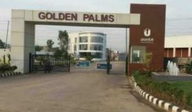 Golden Palm Society, Dera Bassi - Golden Palm Society