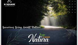 N Square Natura Farms, Hyderabad - N Square Natura Farms