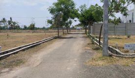 Brindavan Gardan, Vellore - Brindavan Gardan