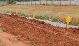 Golden Grive Villa Plots, Bangalore - Golden Grive Villa Plots