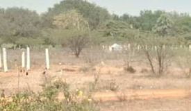 Eco Highway Heights, Yadadri Bhuvanagiri - Eco Highway Heights