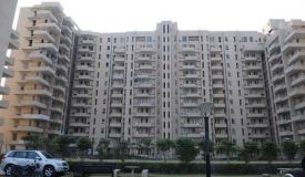 Hamlin Apartment, Gurgaon - Hamlin Apartment