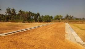 Nisha Luxury City