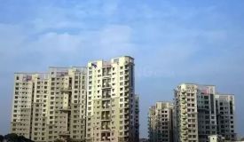 Silver Spring, Guwahati - Silver Spring
