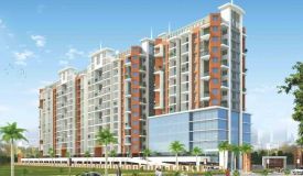 Sterling Blooms, Pune - Sterling Blooms
