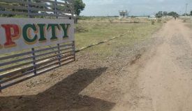 Trinity Garden, Madurai - Trinity Garden