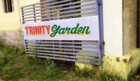 Trinity Garden