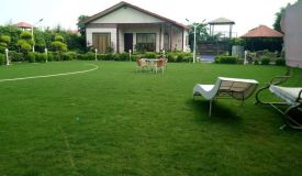 Novel Flora Farm, Noida - Novel Flora Farm