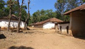 Coffee Estate, Mysore - Coffee Estate