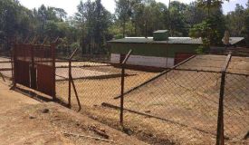 Coffee Estate, Mysore - Coffee Estate