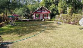 Dpl Flora Farms, Noida - Dpl Flora Farms