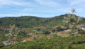 Siri Valley