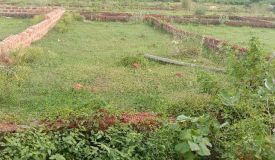 Ekamra Villa, Bhubaneswar - Ekamra Villa