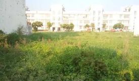 Omaxe Cassia, Mohali - Omaxe Cassia