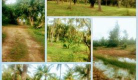 Sri Saikrishna Township, Bangalore - Sri Saikrishna Township