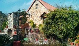 Thano Heavenly Greens Farm, Dehradun - Thano Heavenly Greens Farm