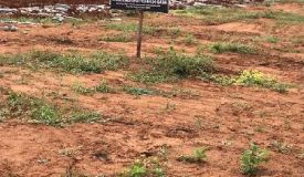 Vinayaka Layout, Bangalore - Vinayaka Layout