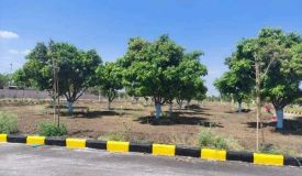 Green Nest, Sangareddy - Green Nest
