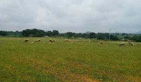 Anugraha Farms, ChikBallapur - Anugraha Farms