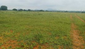 Anugraha Farms